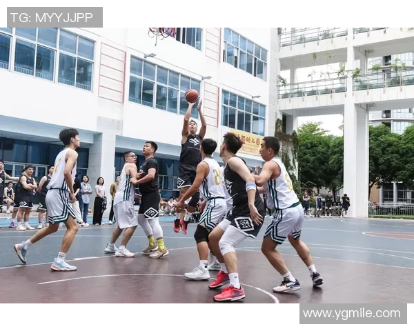 广州篮球队实力分析：从历史成就到未来展望的全面解读