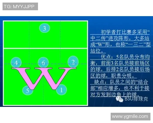 成都排球队中路突破新策略引领战术革新与未来发展探讨 成都排球队中路突破新策略引领战术革新与未来发展探讨