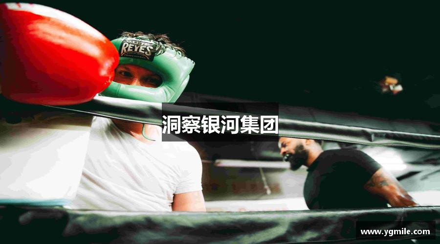 洞察银河集团